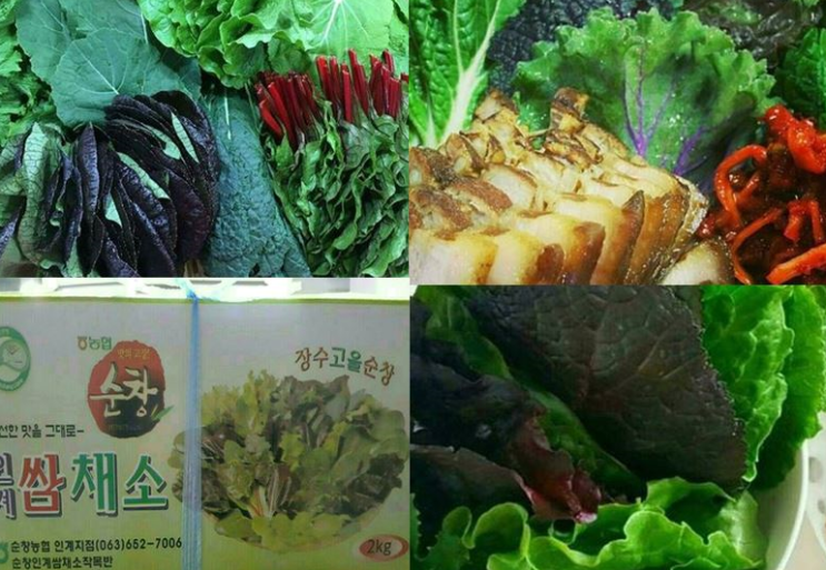  떡볶이논현동 맛집 학동역 다모아 - 생활의 달인 은둔식달 대한 해도 너무하네