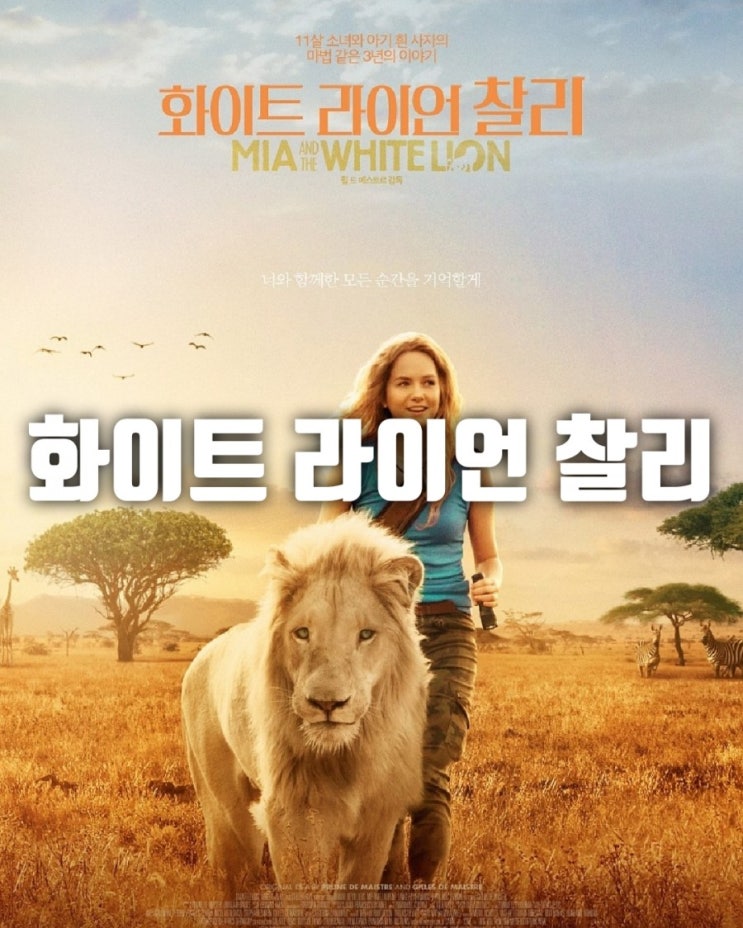  [휴먼/모험/드라마] 화이트 라이언 찰리 :: 찰리를 위한 아주 특별한 여행이 시작된다!