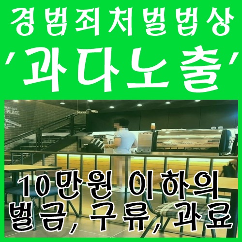  충주 하의실종남 경범죄처벌법상 과다노출로 처벌 어려워