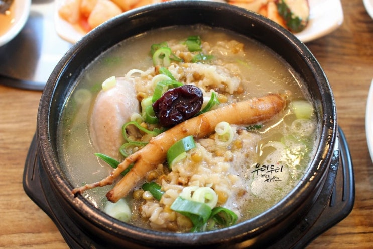  성산 밥집 삼계탕은 역시 농원백숙 굿