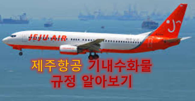 제주항공 기내수화물규정 자세히 알아보기