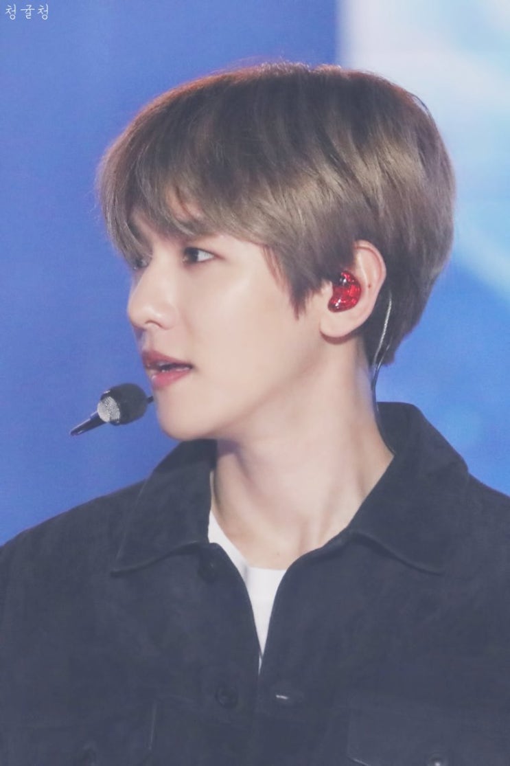  [EXO] 인터넷 소설