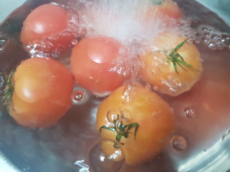 토마토 씻는법 & 방울토마토 농약 (냉동 보관법 쥬스 주스 도마도)