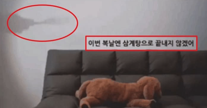  [이동슈] 홍보 영상에 ‘복날엔 삼계탕으로 끝내지 않겠다’ 말한 가구회사 뭇매