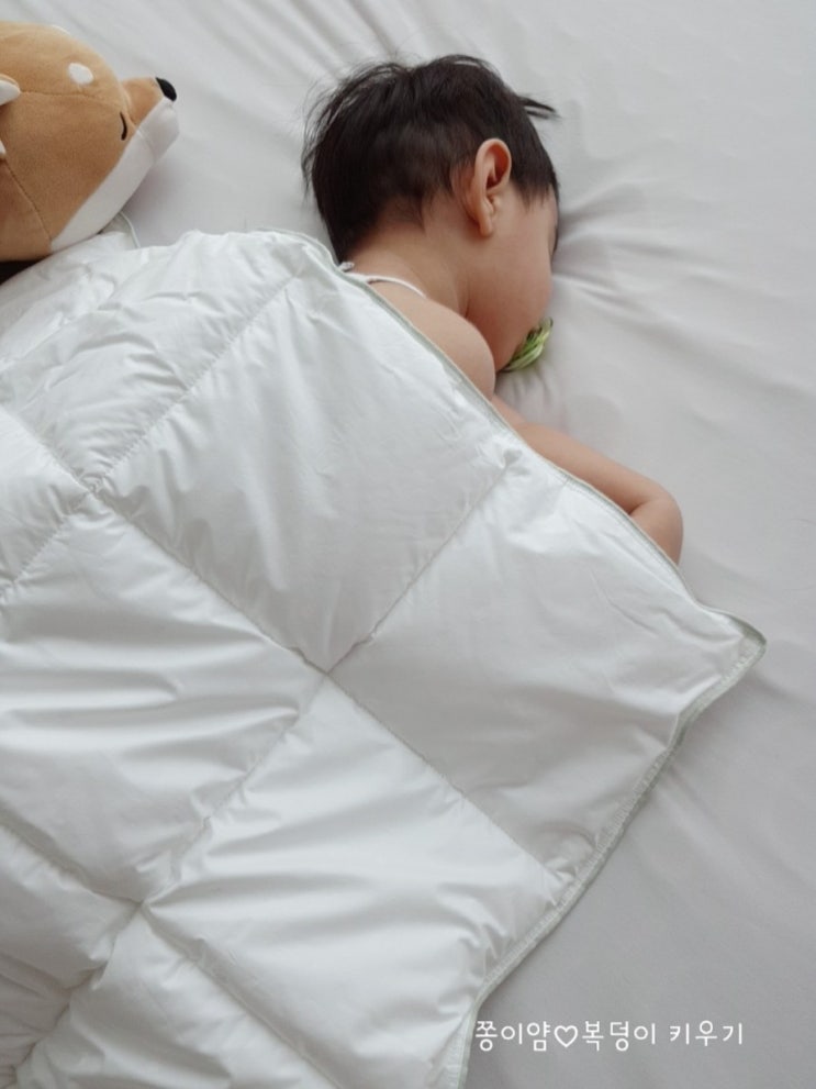  [노르딕슬립] 덴마크 명품침구 아기가 푹신해서 꿀잠자요 :D