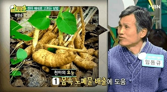 천마 효능, 먹으면 먹을수록 표가 나와요. 8
