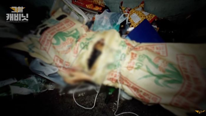  엽기토끼 살인사건, 그것이 알고 싶다 신정동 연쇄 살인사건