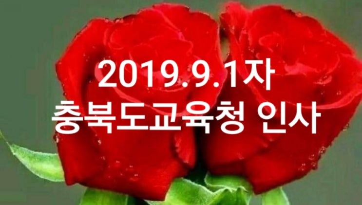  2019.9.1자 충북도교육청 인사