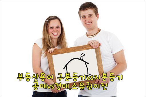  부동산 용어 구분등기 vs 지분등기, 공매 vs 경매. 소유권이전