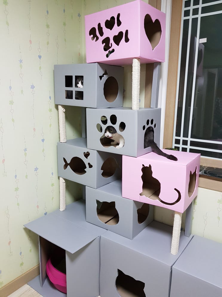  박스로 만든 고양이 캣타워