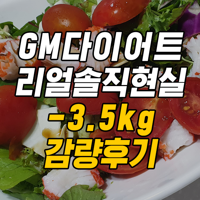  GM다이어트 리얼솔직 후기:) -3.5kg 감량후기 & 식단정보 + 요요