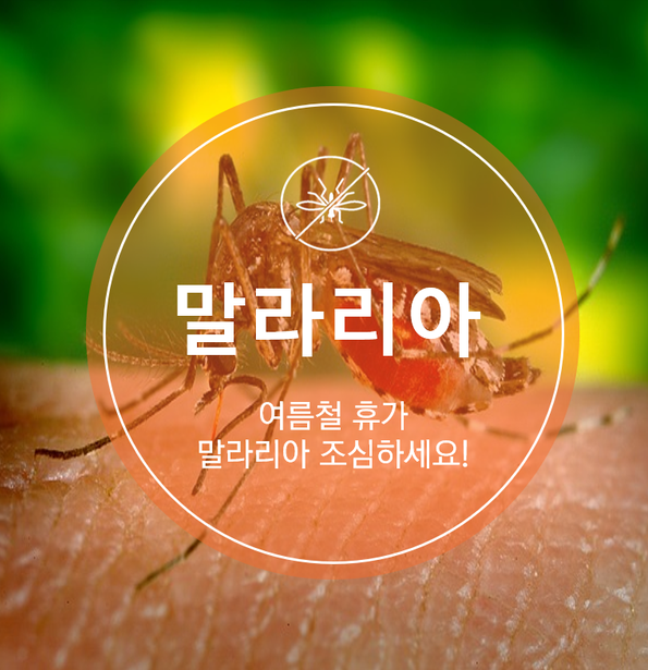  [의료 상식] 여름철 '말라리아'모기 조심하세요