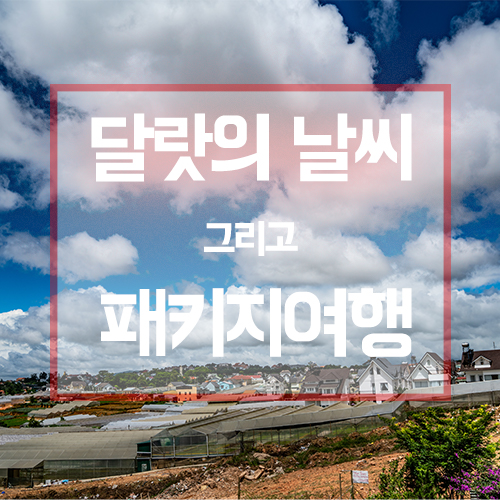  베트남 달랏 날씨와 여행소개 feat. 청주출발