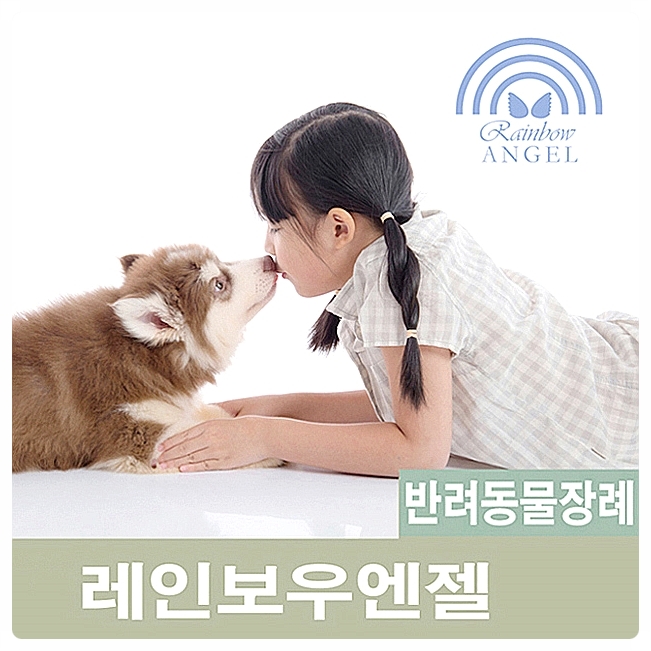  반려견장례 반려견화장시, 올바른 동물장례식장 선택하는 법은?