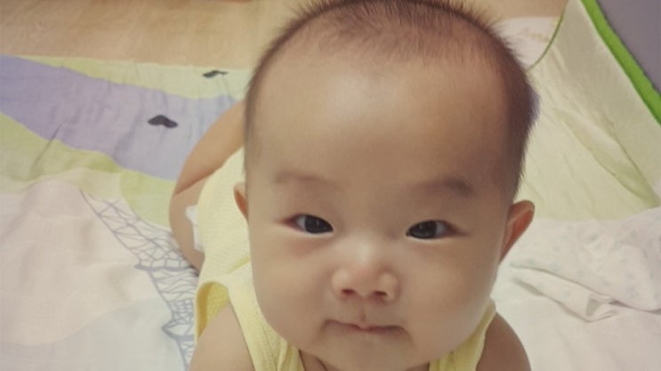  하랑이 엎드리기