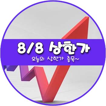 오늘의 상한가 및 테마주 8월 8일 _ 한국화장품제조 나노메딕스 솔트웍스