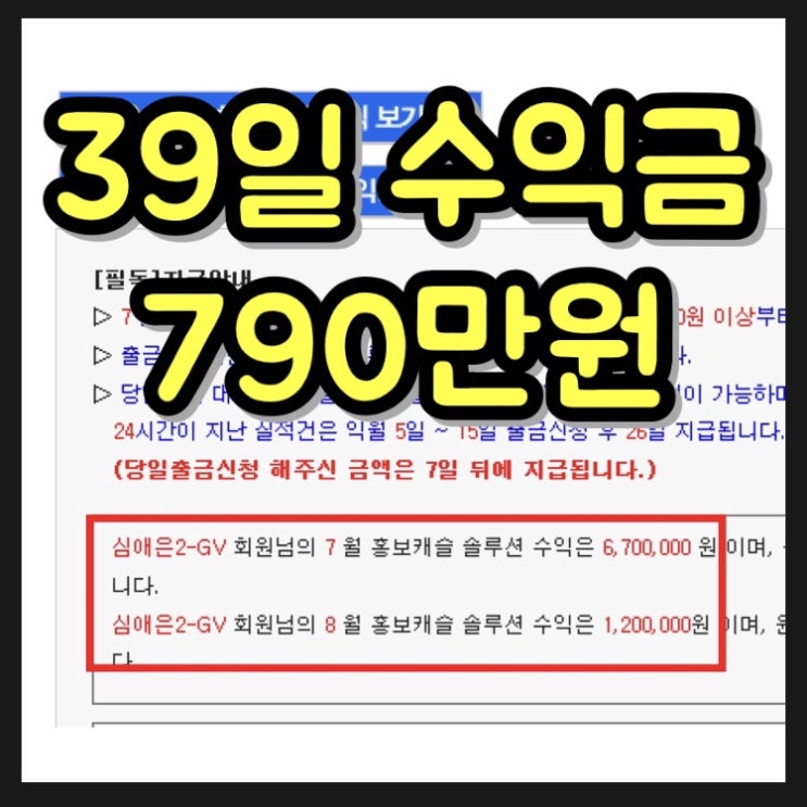  재택알바 39일동안 790만원 저도 했어요️헬로우드림 투잡알바 주부부업 추천️