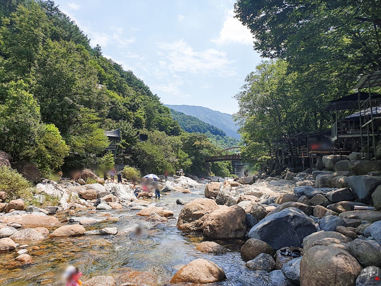 산청 중산리 시천천 계곡 물놀이~! 영빈산장(민박), 양조장까지