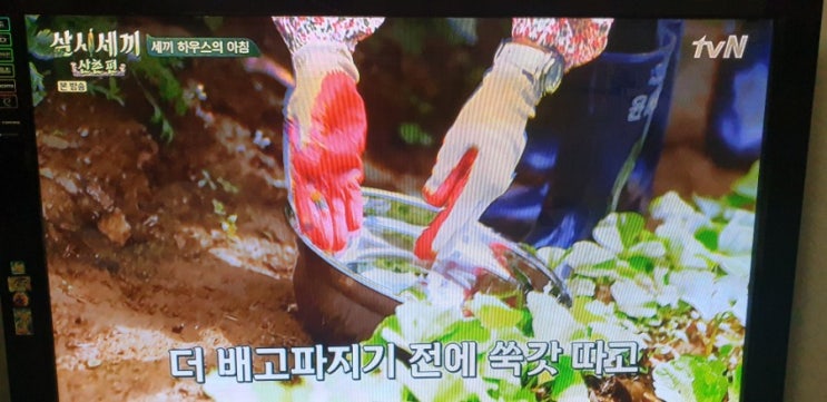 헉! 삼시세끼 산촌편~~