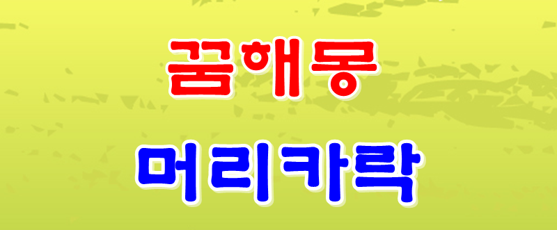 [머리카락 꿈]머리카락 꿈해몽, 머리를빗는꿈, 머리털이빠지는꿈, 머리카락이검어지는꿈, 머....