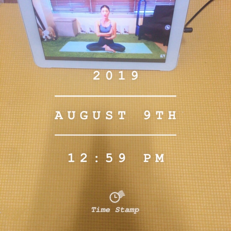  190809 강하나스트레칭 19일째