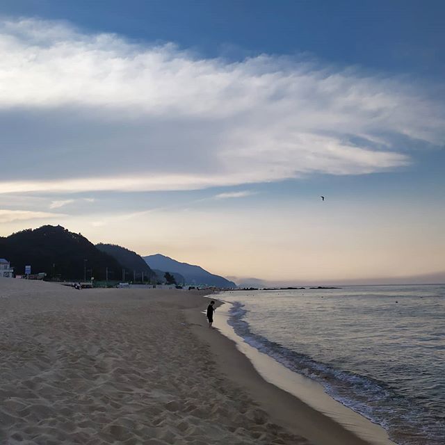  정동진 레일바이크 + 여름 휴가