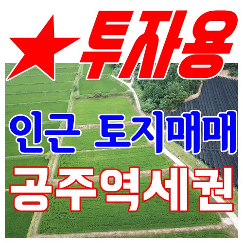  공주, 논산부동산/노성면 화곡리 KTX 공주역세권 개발 계획 인근 투자용