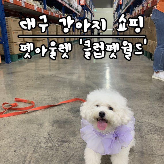  [대구강아지쇼핑] 다양한 강아지 용품을 판매하는 펫아울렛, '클럽펫월드'! 애견용품, 애견카페, 펫수영장, 동물병원, 창고형펫아울렛, 창고형마트, 대구유통단지, 엑스코, 저렴한가격