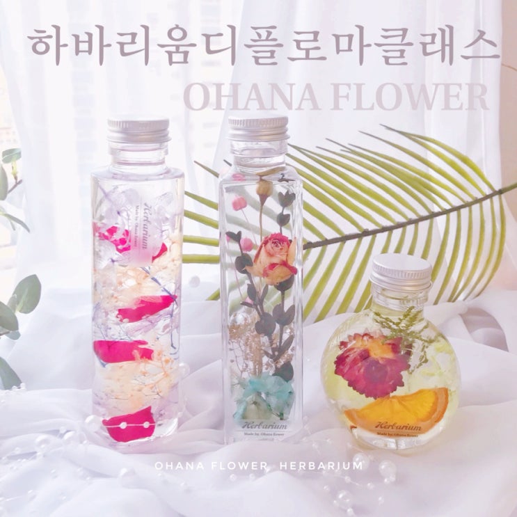  [부산하바리움] JHA하바리움 디플로마클래스 후기 / 부산 수영 광안 플라워 스튜디오 오하나플라워