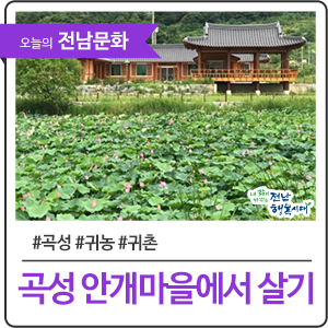 자연을 즐기기 위해 여름에 가볼 만한 곳! 곡성 안개마을
