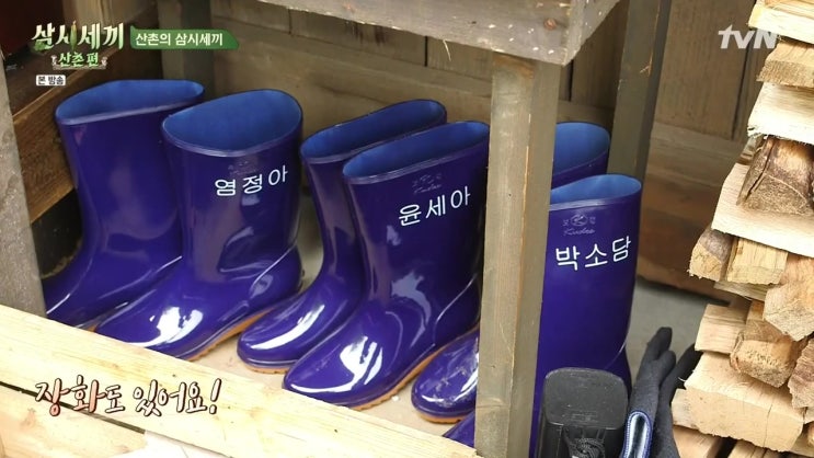  삼시세끼 산촌편 출연자 음정희 윤세아 박소담 소개