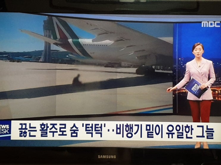  끓는 활주로 숨 '턱턱'…비행기 밑이 유일한 그늘