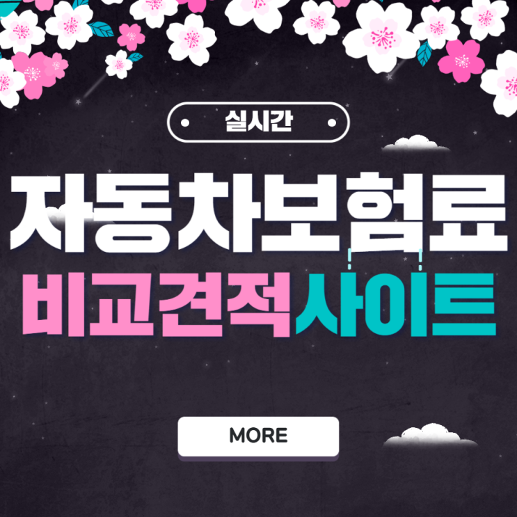  자동차보험하루 알아두면 돈되는 정보