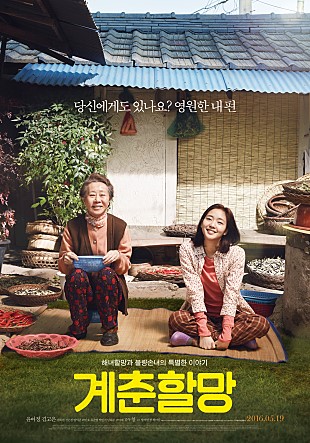  계춘할망: 엄마보다 더 무조건적인 할머니의 사랑