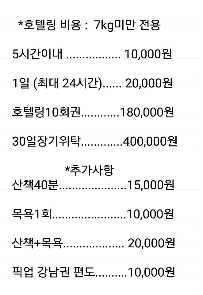 동래 강아지 호텔 시설이 좋은 동래 애견 호텔