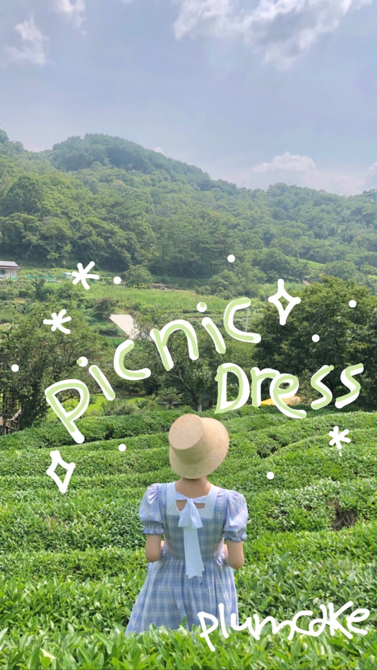  [PLUMCAKE] Picnic Dress OPEN