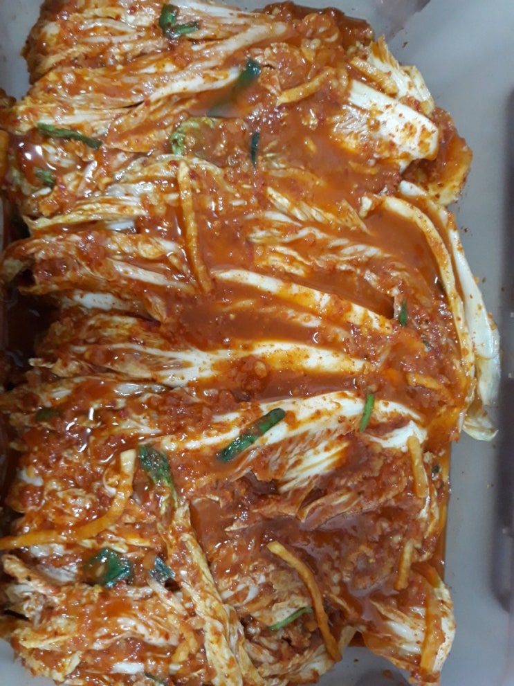  박연경김치