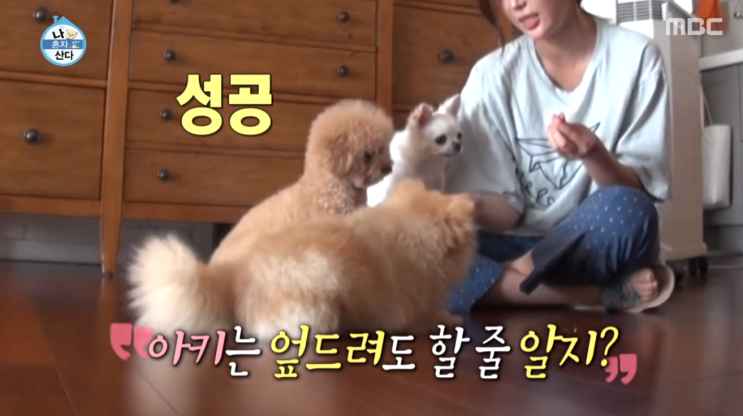  나혼자산다 임수향 집공개, 강아지 아라리, 성훈 신기생뎐 연인