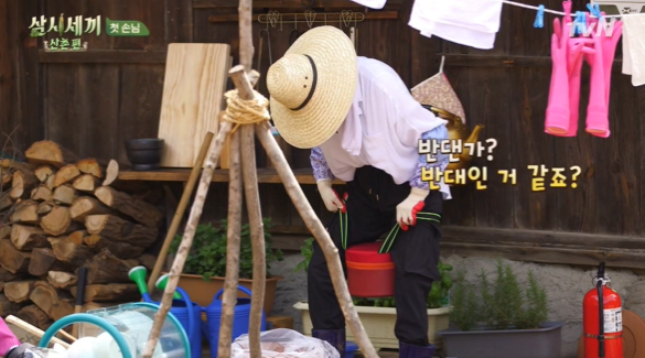  삼시세끼 산촌편 여자편 이야기가 펼쳐집니다.