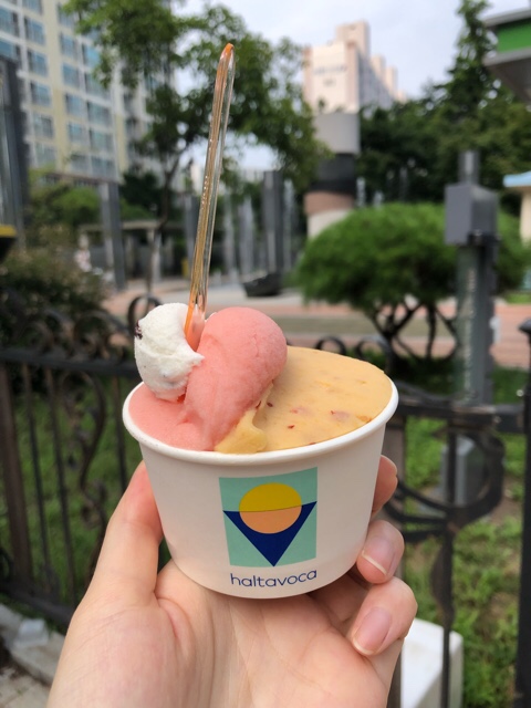  월성동 맛집 할타보카, 알리바바 버거, 