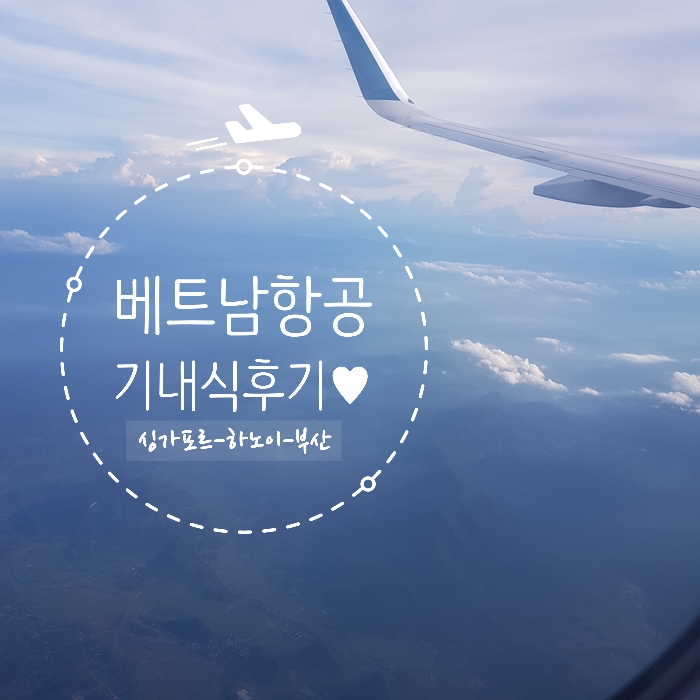  [베트남항공] 싱가포르 - 하노이 - 부산 이코노미석 후기 & 베트남 도착비자 발급