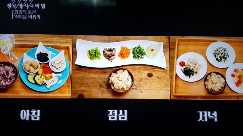 식품 구성 자전거 앞바퀴