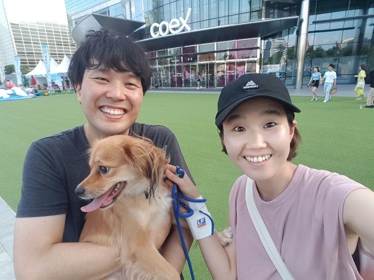  2019 코엑스 펫서울 생생후기