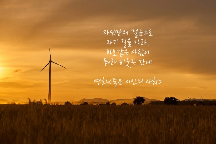  자신만의 걸음으로 자기길을가라