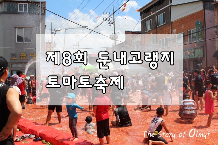  횡성여행 둔내고랭지 토마토축제 11일까지 열려요