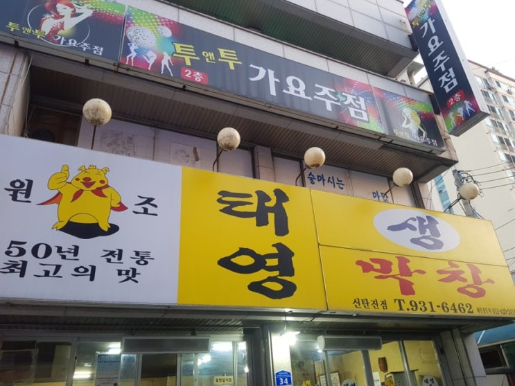  신탄진 맛집 태영 생막창