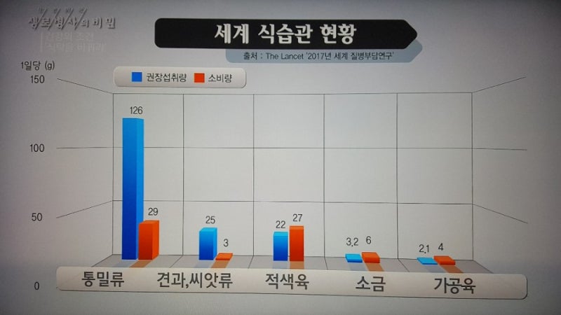 식품 구성 자전거 앞바퀴