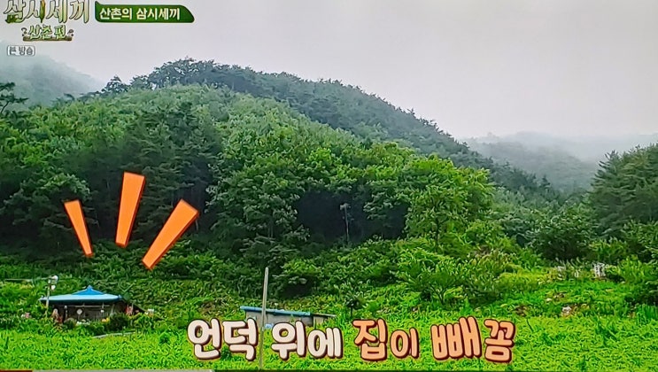  삼시세끼 산촌편(여자편) 염정아, 윤세아, 박소담 자급자족 유기농 라이프! 정우성이 첫 게스트?!
