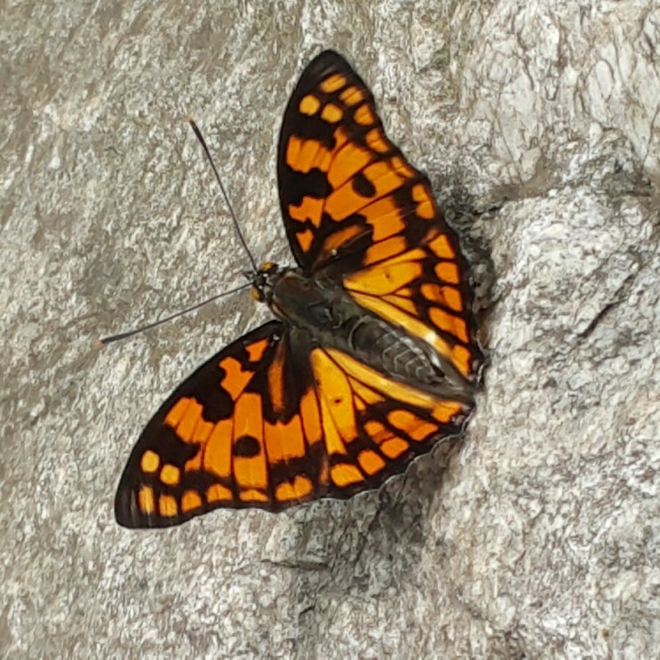  여름 풍경 9