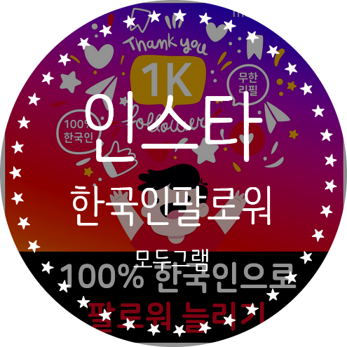  인스타 한국인 팔로워 가성비 모두그램 이용 후기